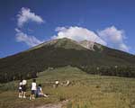 周辺の観光：鳥取県西部：大山周辺